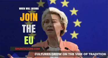 Bosnia's EU Membership: Challenges, Progress, and Potential Timeline