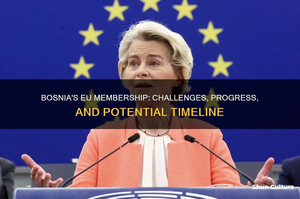 when will bosnia join the eu