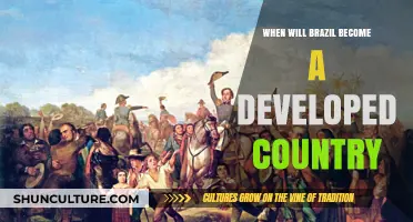 Brazil's Path to Development: Challenges and Timeline for Economic Growth