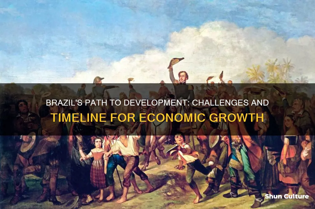 when will brazil become a developed country