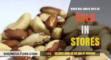 When Can We Expect Brazil Nuts in Local Stores?