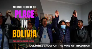 Bolivia's Upcoming Elections: When Will They Happen?