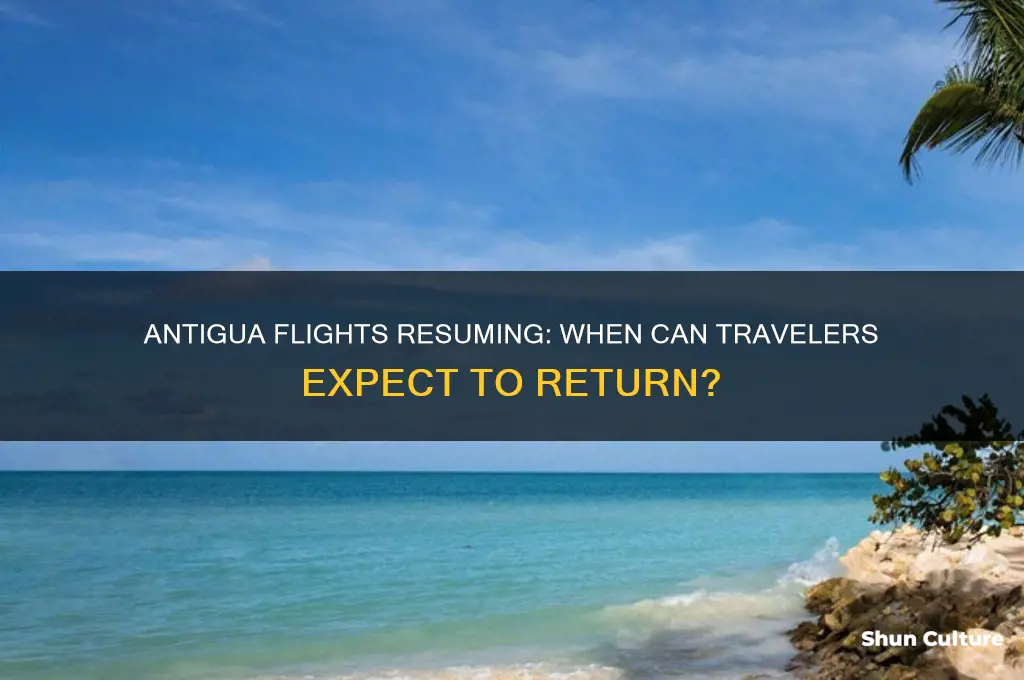 when will flights to antigua resume