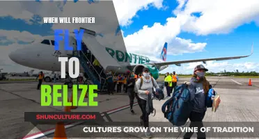 Frontier's Belize Flights: When and Where?
