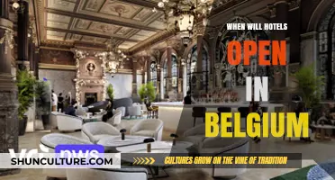 Anticipating the Reopening of Belgium's Hospitality Sector: A Timeline