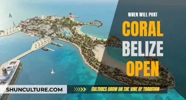 Belize's Port Coral: Opening Date and What to Expect