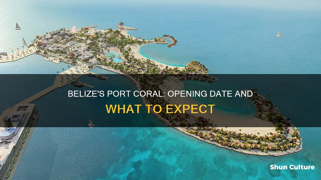 when will port coral belize open