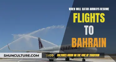 Qatar Airways: Flights to Bahrain Resuming Soon?