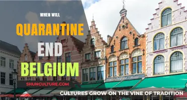 Anticipating Freedom: Belgium's Path to Post-Quarantine Normalcy