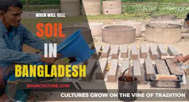 Selling Soil in Bangladesh: Future Trends and Market Potential