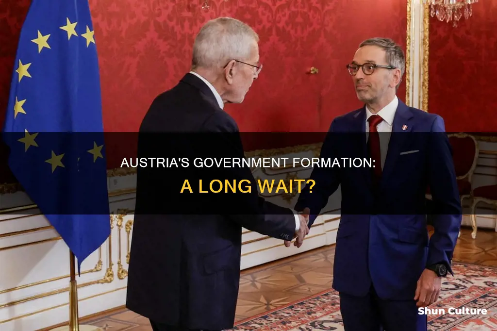 when will the austrian government be formed