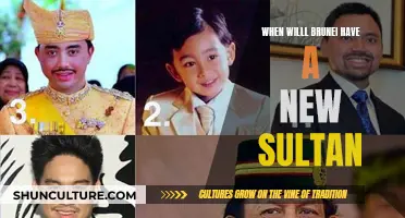 Who Will Be Brunei's Next Sultan?