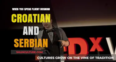 Mastering the Trio: Fluent Bosnian, Croatian, and Serbian Communication