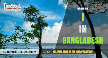 Exploring Bangladesh: Discovering My Exact Location and Surroundings