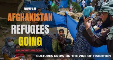 Afghan Exodus: Understanding the Displacement Crisis