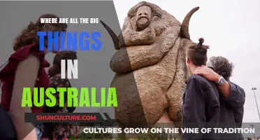 Exploring Australia's Big Things: A Journey to Discover the Giants