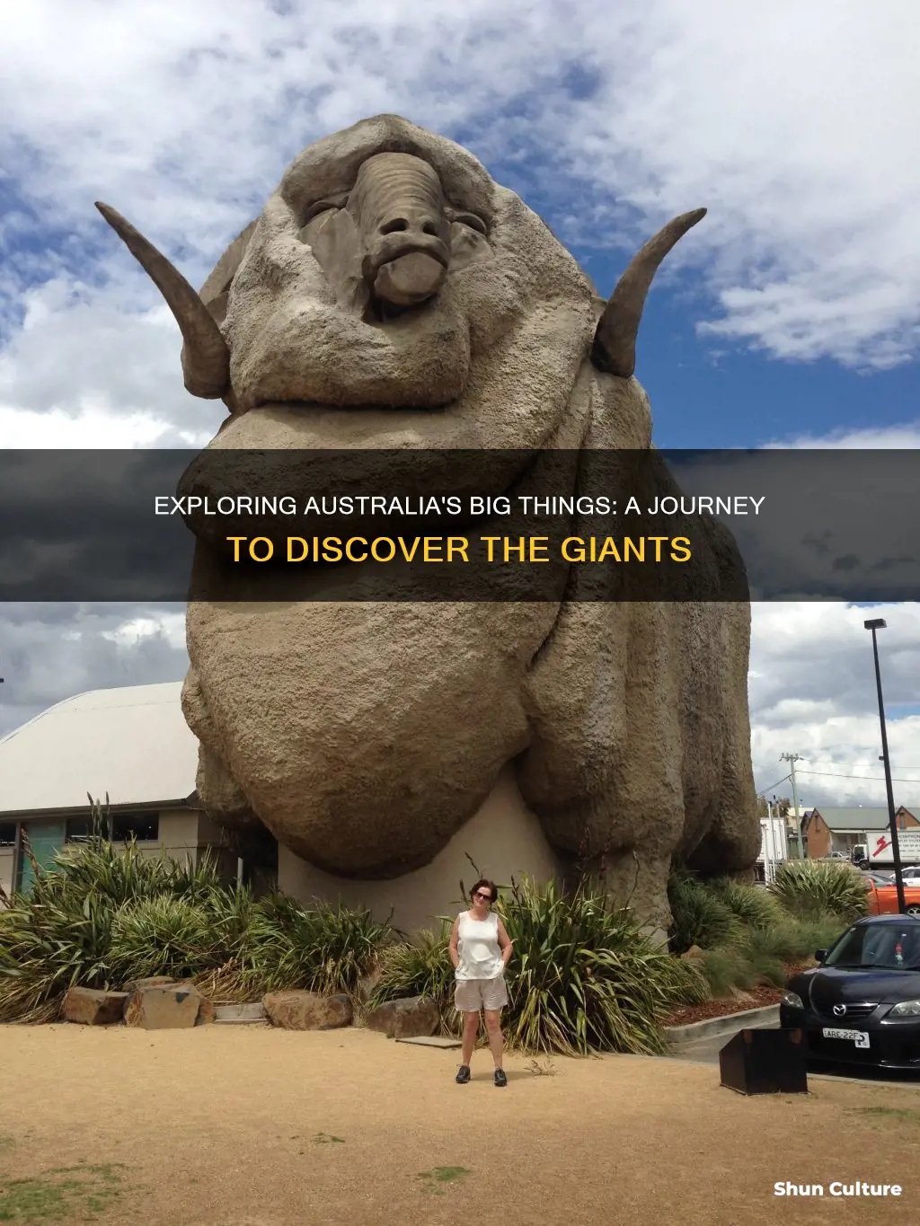 where are all the big things in australia