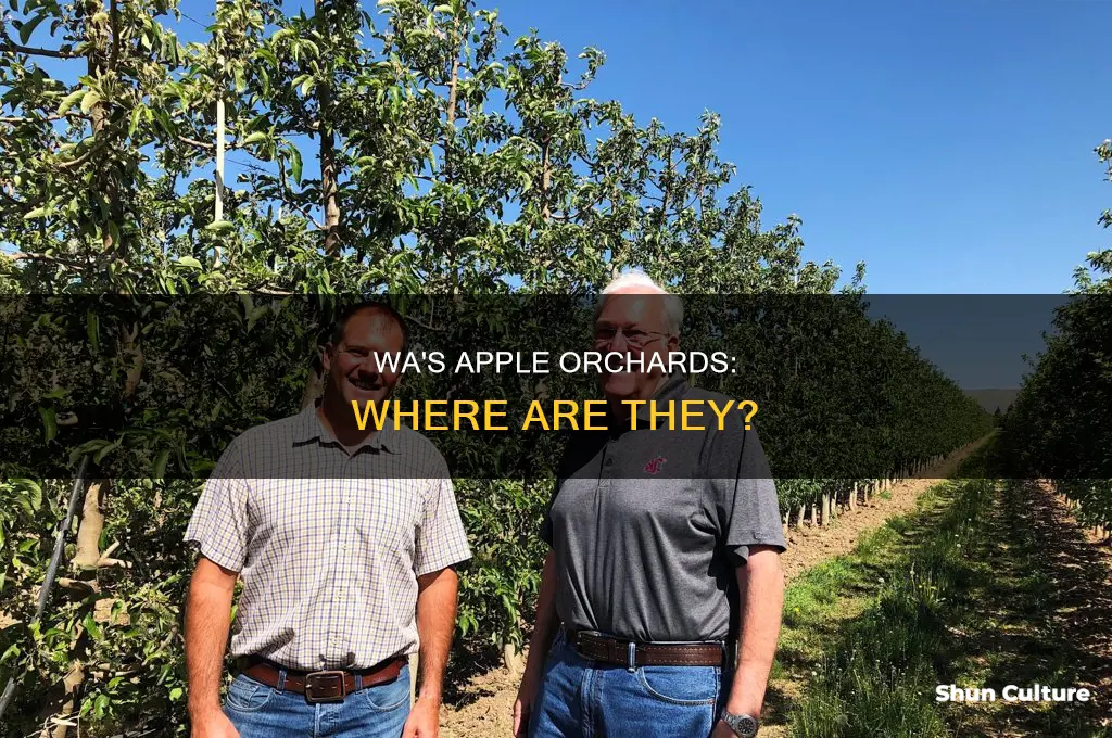 where are apples grown in western australia