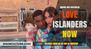 Love Island Australia: Catching Up With Past Contestants