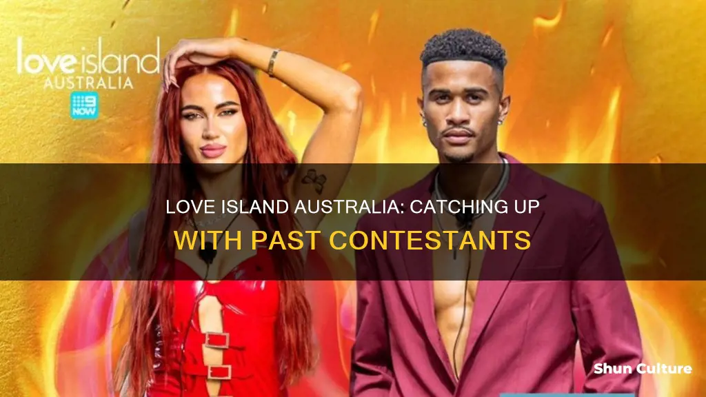 where are australia love islanders now