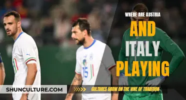 Austria and Italy: Stadiums and Venues for the Teams