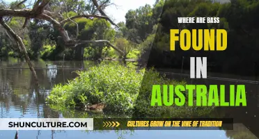 Bass Fishing in Australia: Where to Find Them