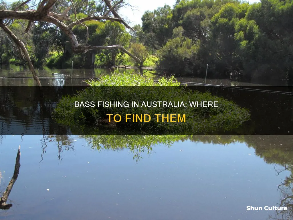 where are bass found in australia