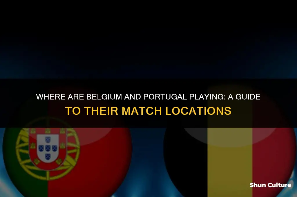 where are belgium and portugal playing