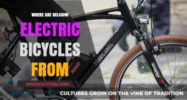 Exploring the Origins of Belgium's Electric Bicycles: A Sustainable Journey