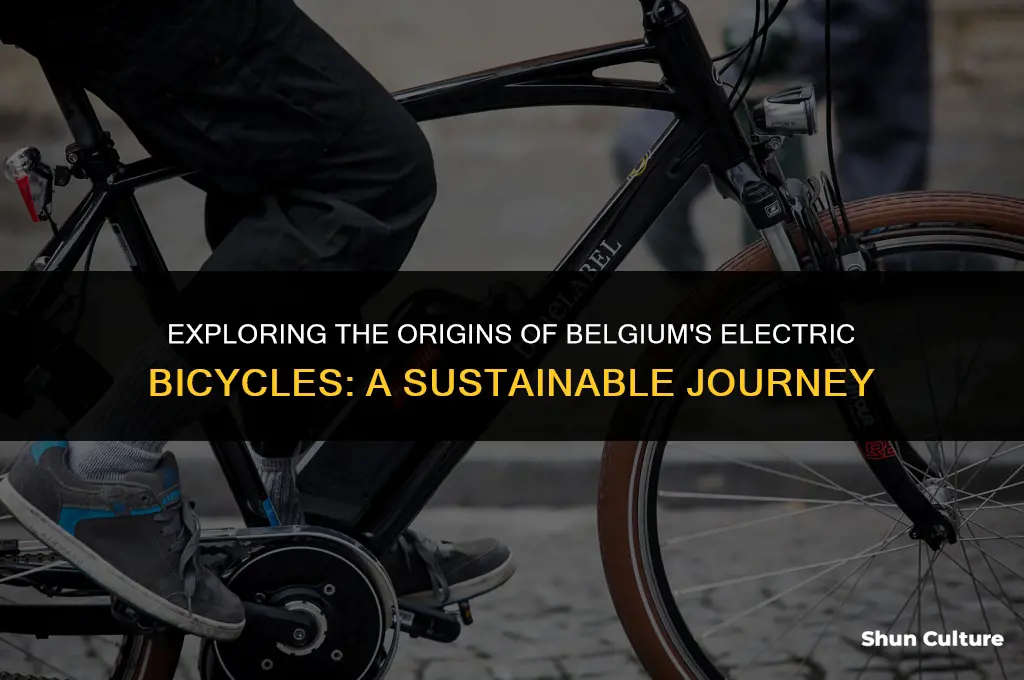 where are belgium electric bicycles from