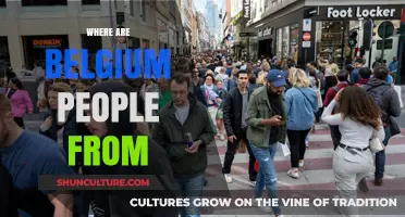 Exploring the Rich Ancestry of Belgium's Diverse Population