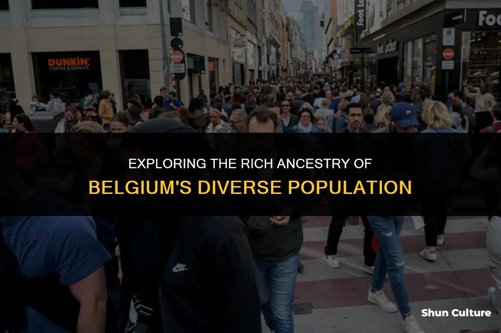 where are belgium people from
