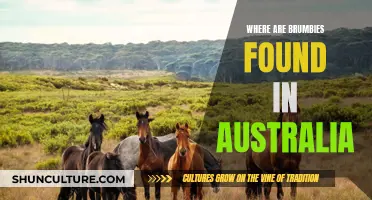 Brumbies: Australia's Wild Horses and Their Habitat