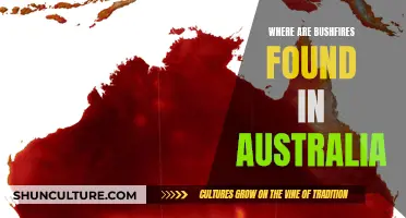 Bushfire Hotspots in Australia: Where and Why?