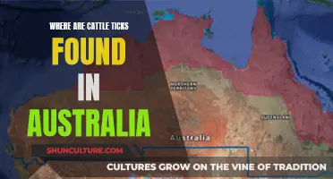 Cattle Tick-Borne Illnesses: Australia's Regional Breakdown