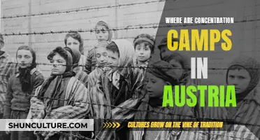 Unveiling Austria's Dark History: The Hidden Concentration Camps