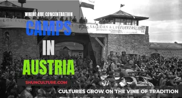 Austria's Concentration Camp Locations: A Dark History Unveiled