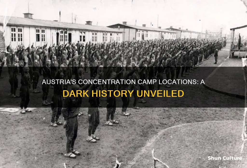 where are concentration camps in austria
