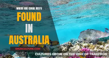Australia's Coral Reefs: A Natural Wonder Down Under