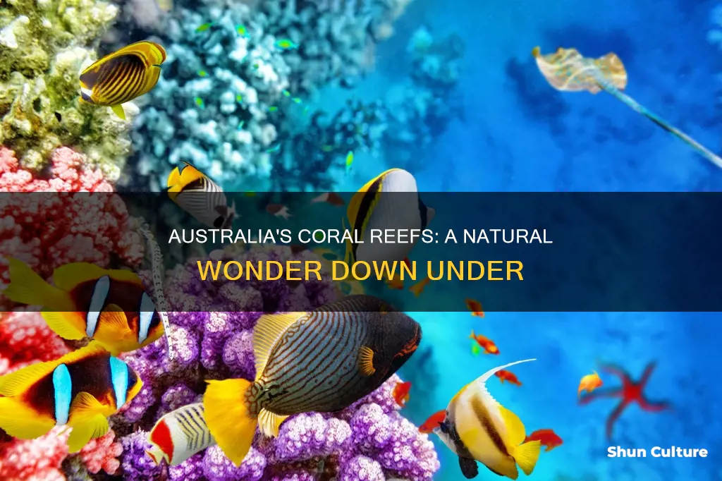 where are coral reefs found in australia