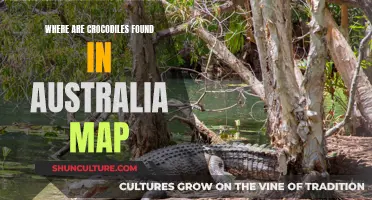 Crocodile Habitat: Mapping Australia's Crocodile Hotspots