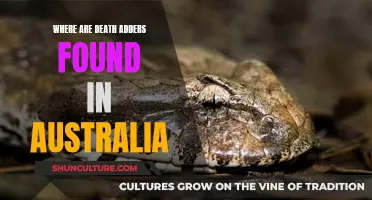 Death Adders: Their Habitat Across Australia