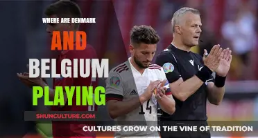 Denmark vs Belgium: A Thrilling Showdown in the Heart of Europe