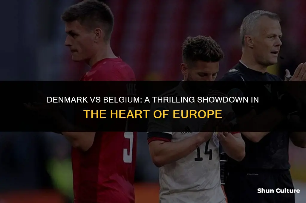 where are denmark and belgium playing