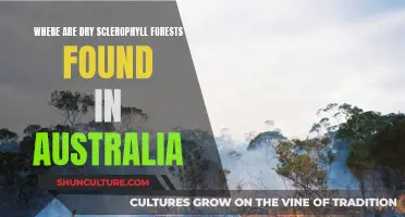 Exploring Australia's Dry Sclerophyll Forests: Unique Biodiversity