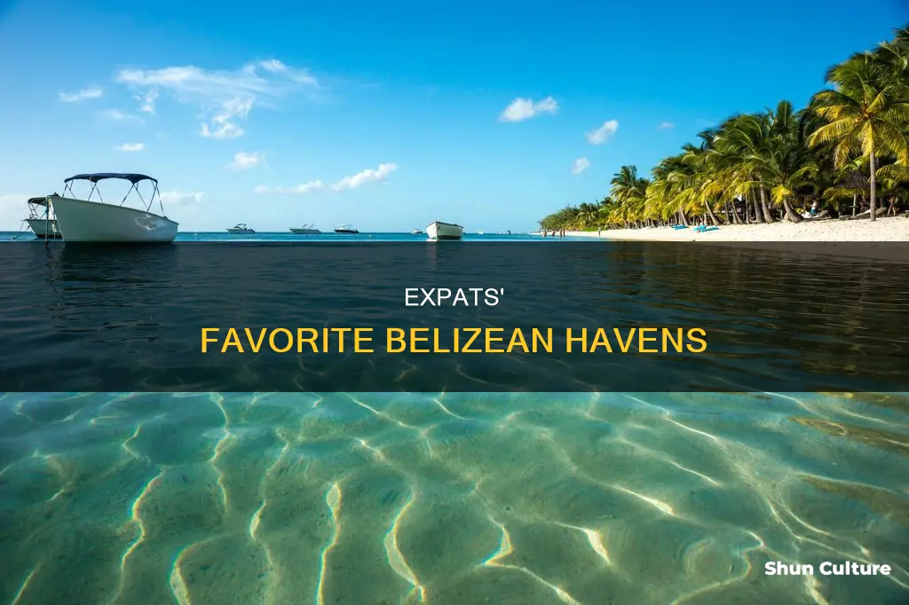 where are expats moving to in belize