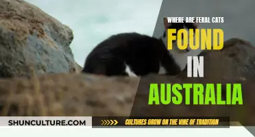 Feral Cats in Australia: Their Habitat and Impact