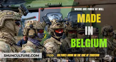 Exploring the Origins of Force of Will in Belgium: A Comprehensive Guide