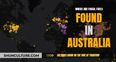 Fossil Fuel Discovery in Australia: Where and How?