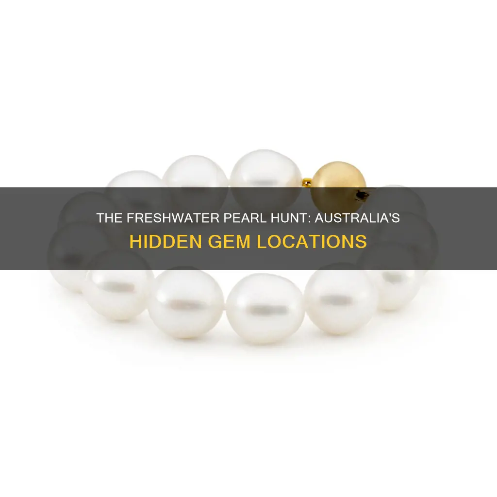 where are freshwater pearls found in australia